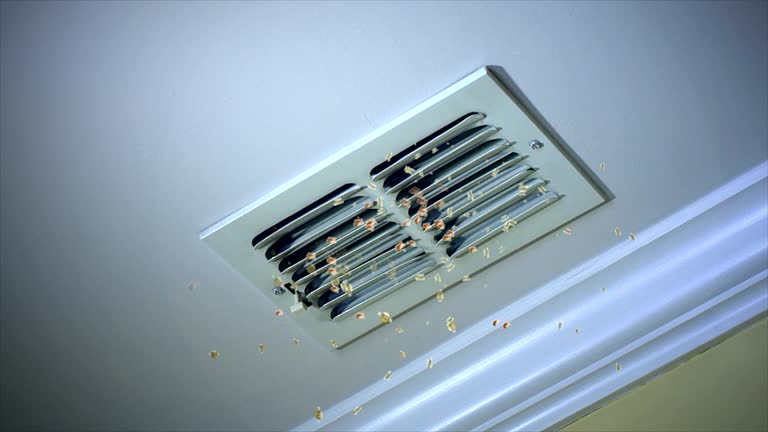 Best Commercial Air Duct Cleaning  in Rochelle, IL