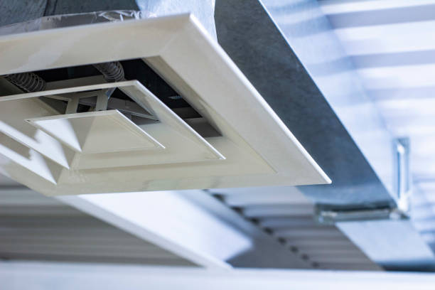 Best HVAC System Cleaning  in Rochelle, IL