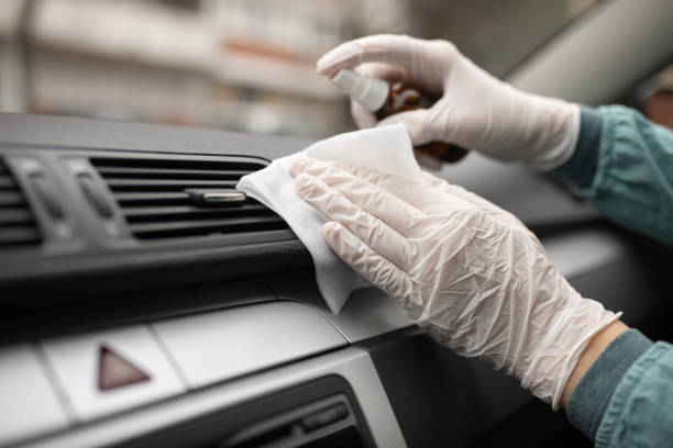 Best Air Duct Sanitizing Services  in Rochelle, IL
