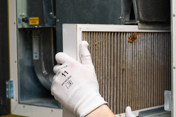 Best Residential Air Duct Cleaning  in Rochelle, IL
