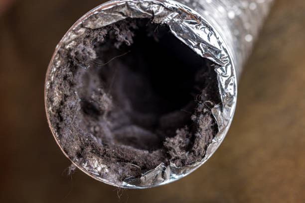 Best Professional Duct Cleaning Services  in Rochelle, IL